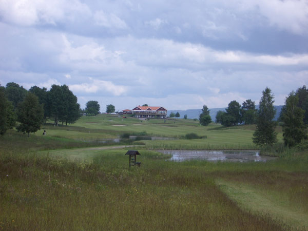 IMGP2567