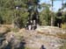 IMGP3036
